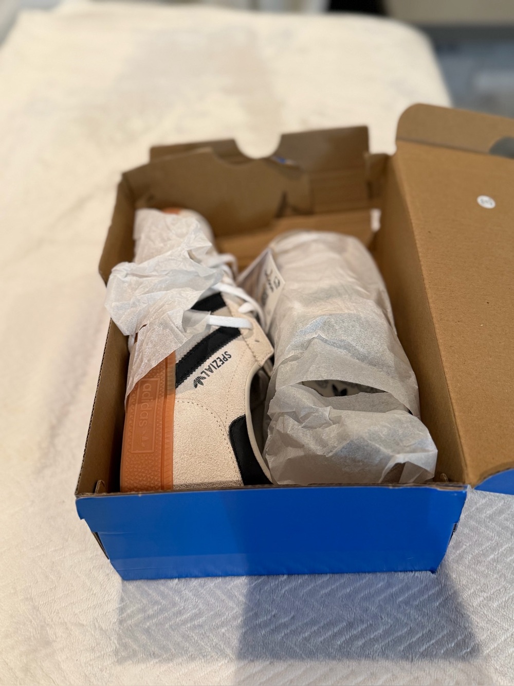 Brand new Addidas Spezials size men’s 7, woman’s 8.5